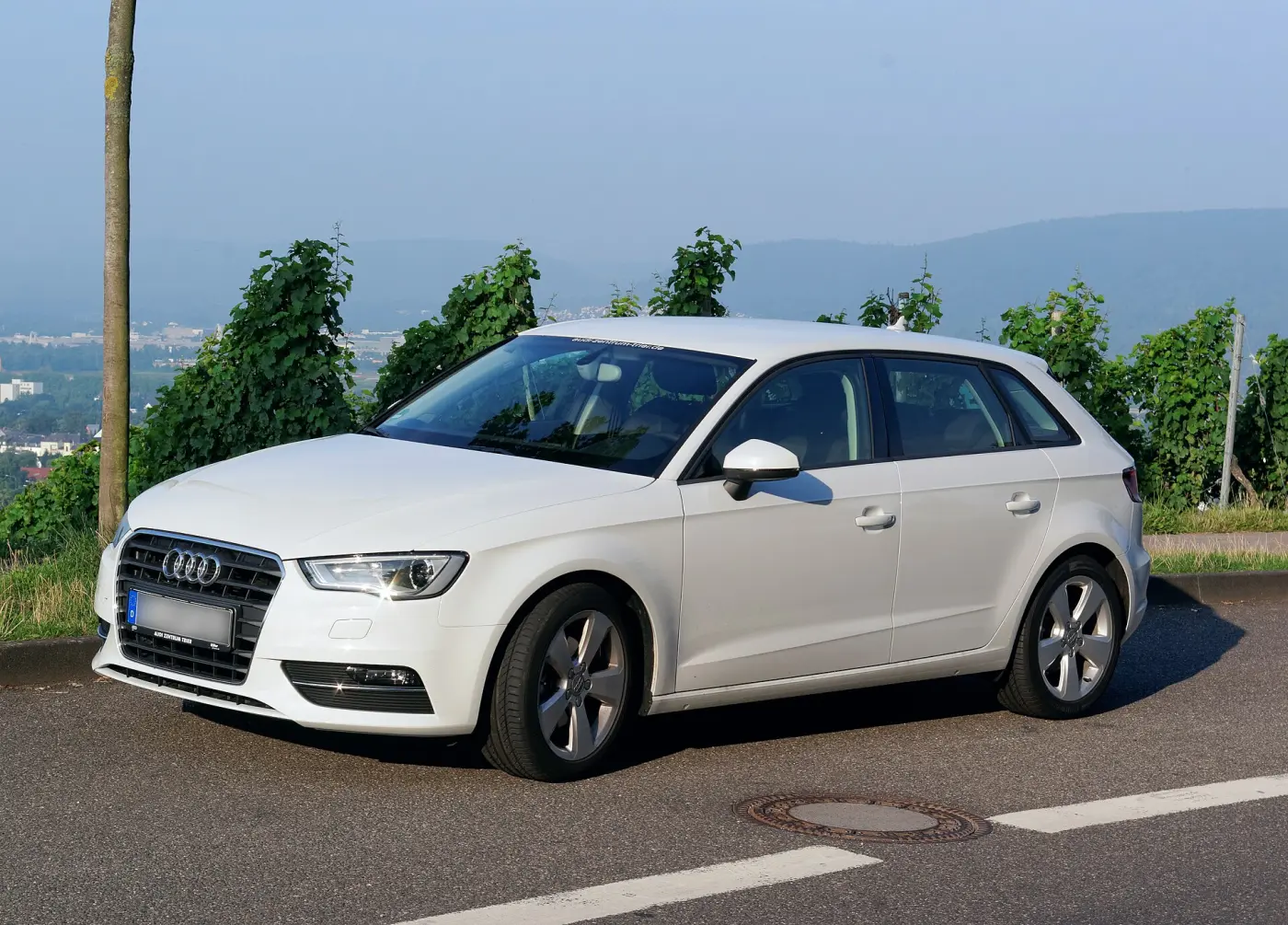 Audi A3 8V (2012 - 2020) görünüm