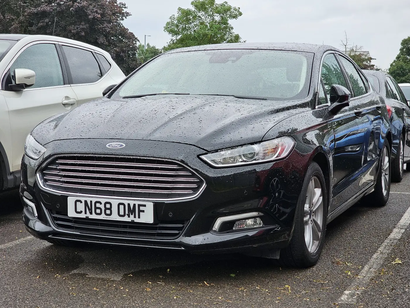 Ford Mondeo (2014 - 2022) görünüm
