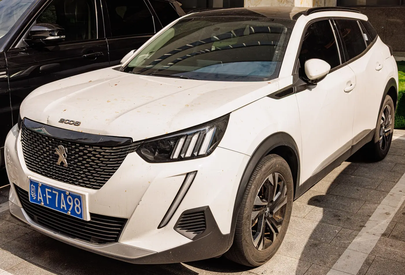 Peugeot 2008 II (2019 - devam ediyor) görünüm